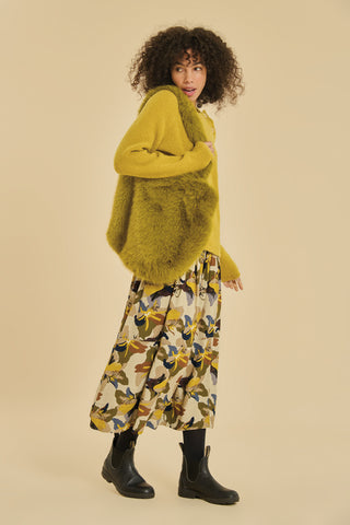 Lilly Curry