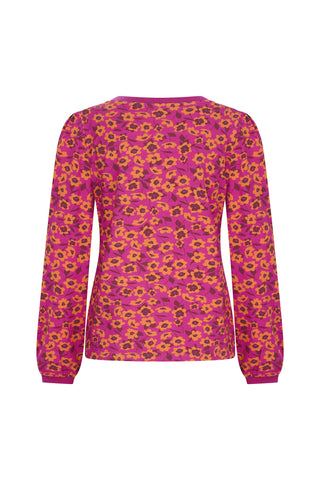 Flower Bed Raspberry